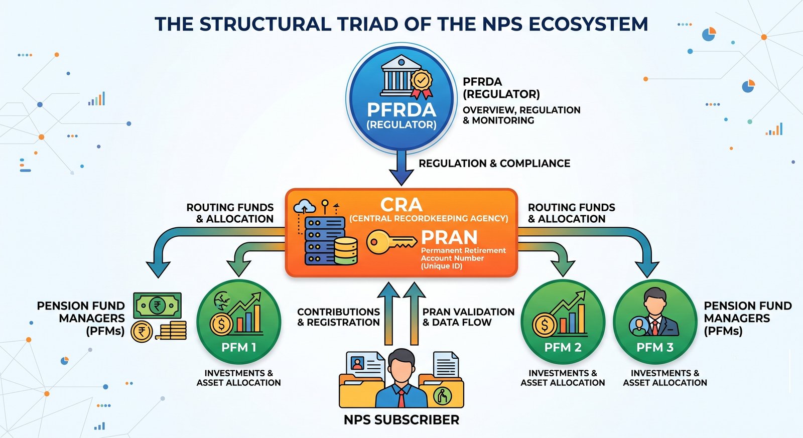 Structural Ecosystem of the NPS